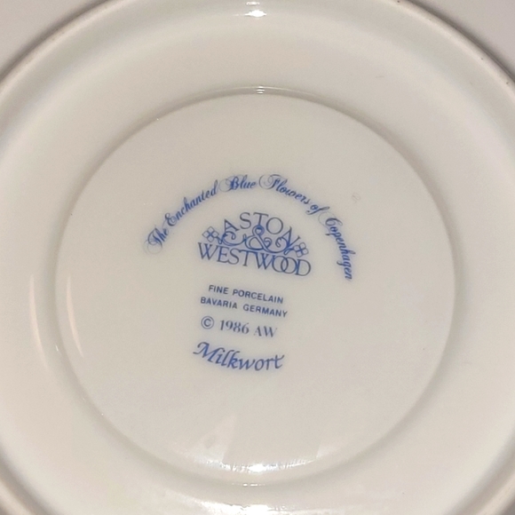 Aston & Westwood | Fine Porcelain | Teacup & Saucer Set| Blue/White w Floral - Picture 12 of 12